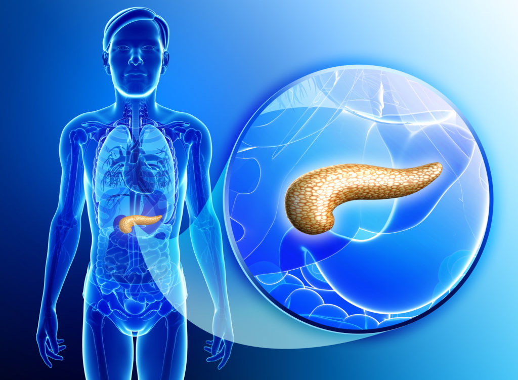 Hello, I am Your Pancreas